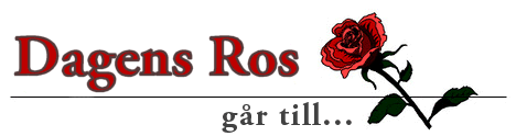 dagens_ros_03_21