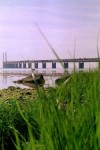 Öresundsbron 1999|Foto: Gerd Persson